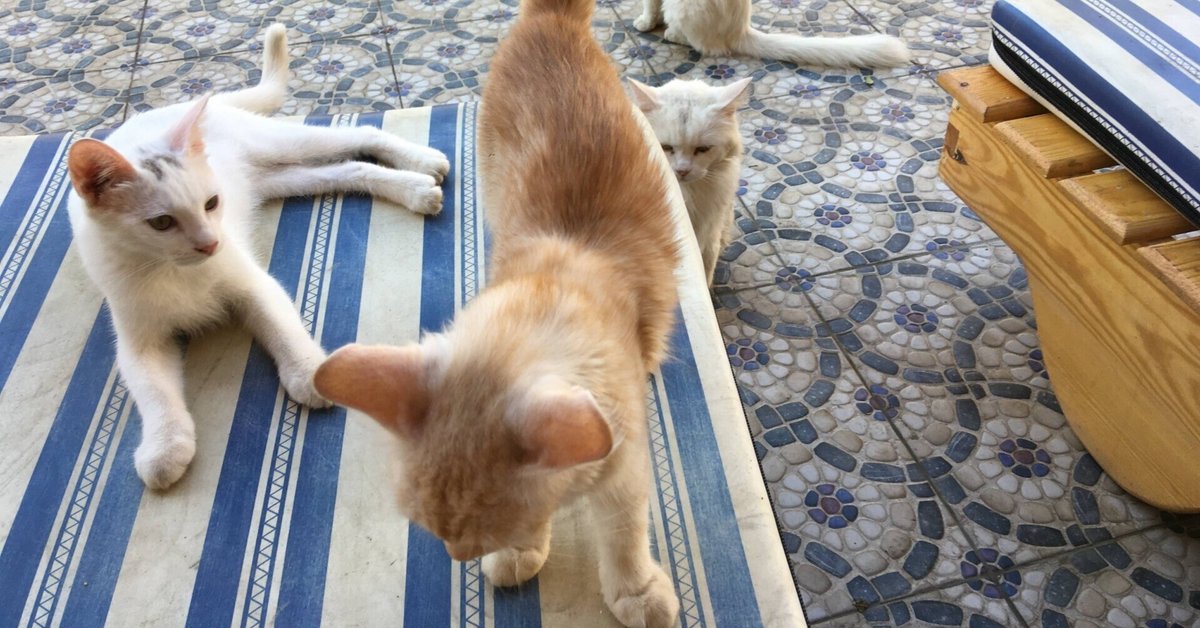 EXILE KENCHI「スターマン」で音痴なガテン系男子役 - 音楽ナタリ