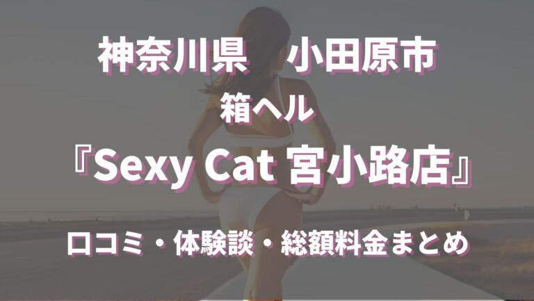 おすすめ】小田原のオナクラ・手コキデリヘル店をご紹介！｜デリヘルじゃぱん