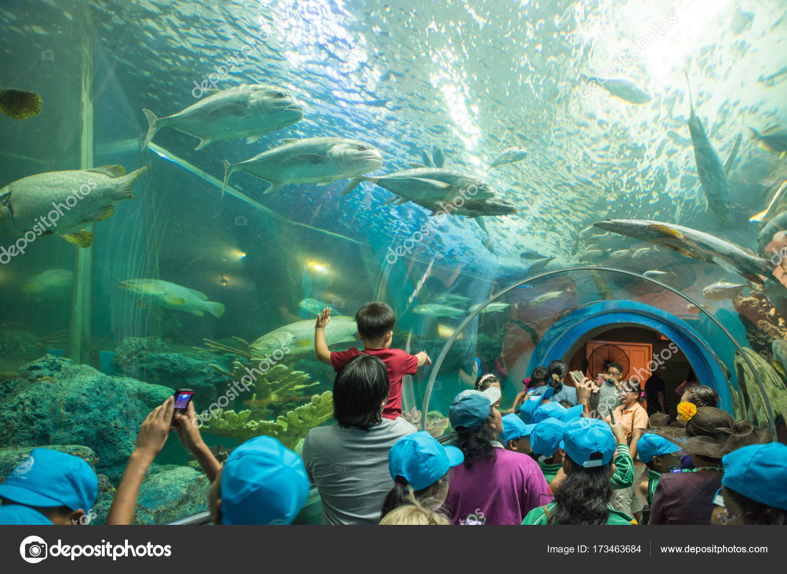 海を丸ごと独り占めできてしまった」タイ・バンコクのデパートの地下にある水族館が幻想的でよい - Togetter