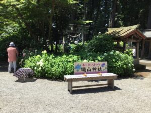 磯山神社 鹿沼市 毎年「あじさい祭り」で賑わう幻想的な雰囲気が魅力の絶景スポット