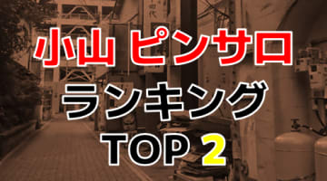 赤羽のガチで稼げるピンサロ求人まとめ【東京】 | ザウパー風俗求人