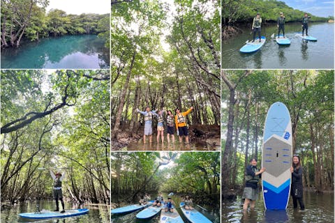 1日 海と川を1日満喫！マングローブSUPorカヌー＆青の洞窟シュノーケリング - 石垣島
