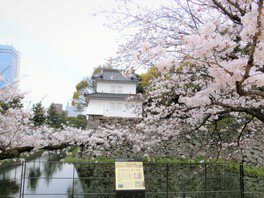 アラフォー母ちゃんのキャンプ道。:増尾城址公園ＢＢＱ