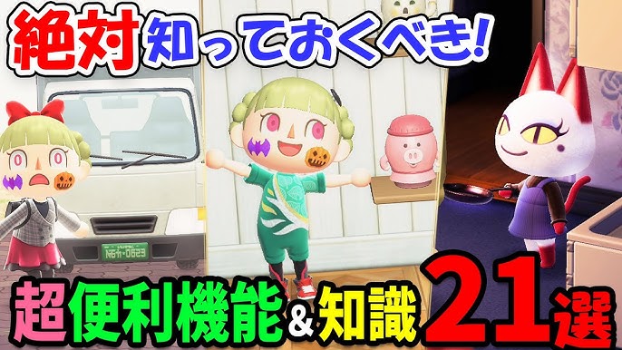 あつ森 セーブデータバックアップ設定と夢見の館の夢番地登録訪問方法 あつまれどうぶつの森