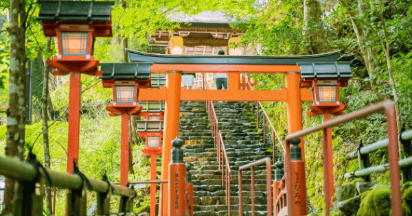 京都観光名所おすすめ30選＜2025＞インスタ映え絶景に神社仏閣、食べ歩きスポットもランキング - OZmall