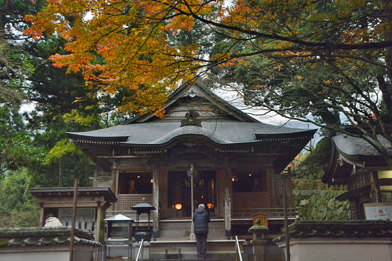 や～さん堂 ６:Italia bar