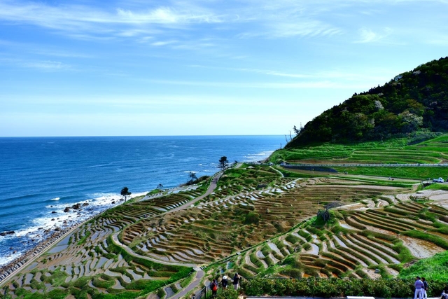 夏旅行と言えばココ！夏休み旅行おすすめの旅先楽天トラベル