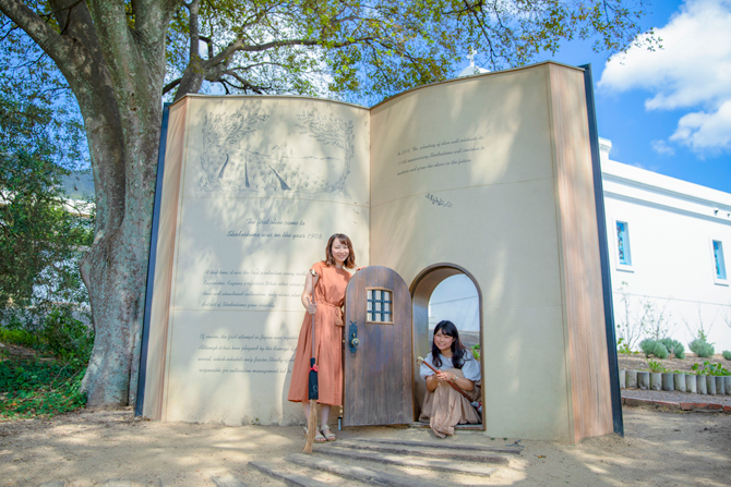 小豆島でインスタ映えするスポットを巡る旅2025 年のリアルなLemon8ユーザー体験