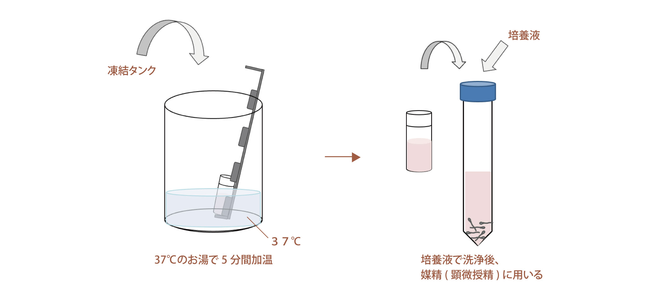 夫や子供が入った後、お風呂のお湯が臭くて悩んでます | おそうじ専科