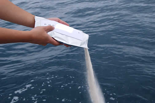 海へご遺骨をまく 海洋散骨のメリット、デメリットとは？費用感やルールも詳細解説