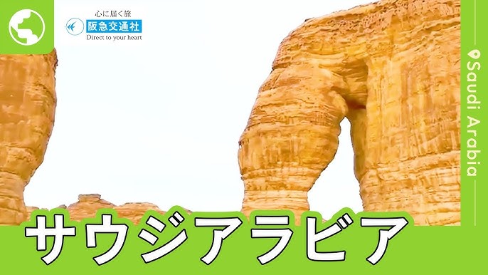 教育専門家、サウジの英語力は向上すると予想ARAB NEWS