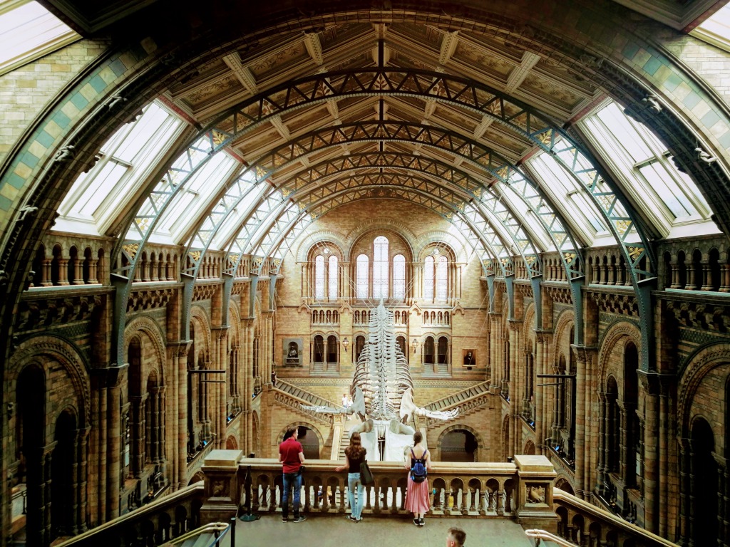 ロンドン自然史博物館－これぞ自然史博物館！自然史博物館の王道中の王道徒然漫遊記
