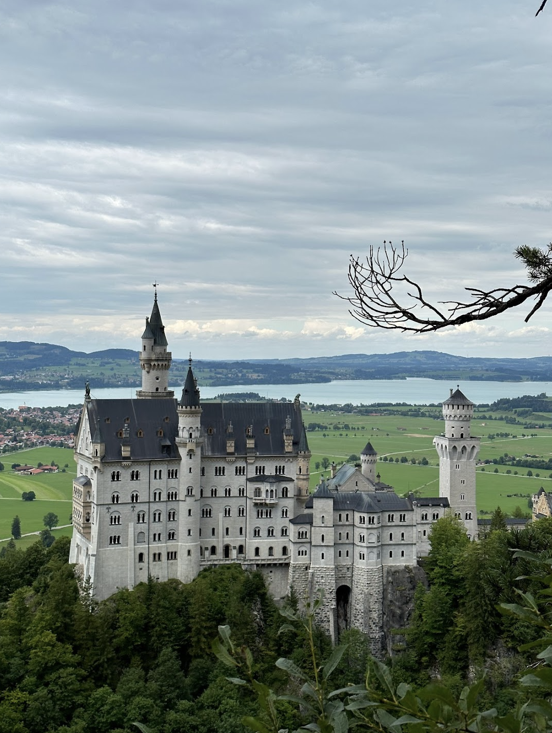 ボードゲーム紹介 ノイシュヴァンシュタイン城 いやこんな城にするつもりではなかったけど