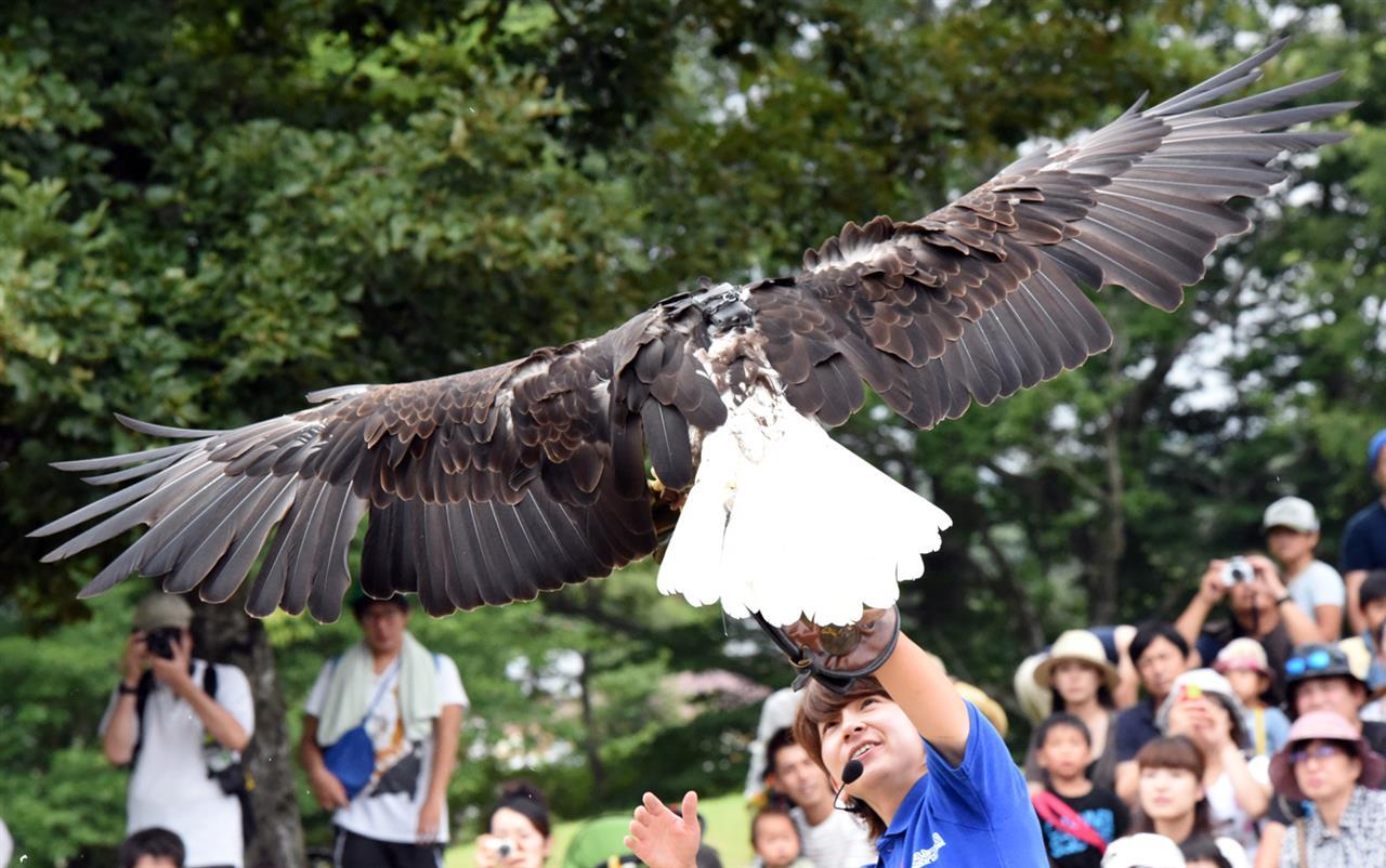 動物好きを仕事にした卒業生メッセージ｜北海道エコ・動物自然専門学校