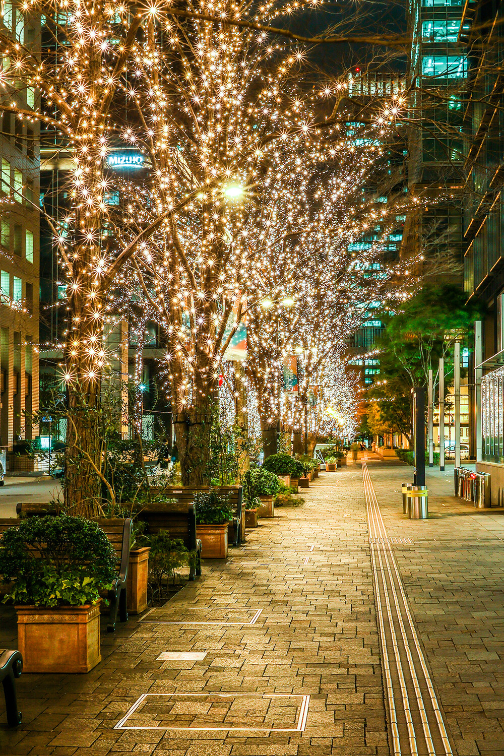 2023年の東京駅・丸の内のイルミネーションで訪れたい6つのスポットを厳選紹介！ – 京王プレッソイン東京駅八重洲・ブログ