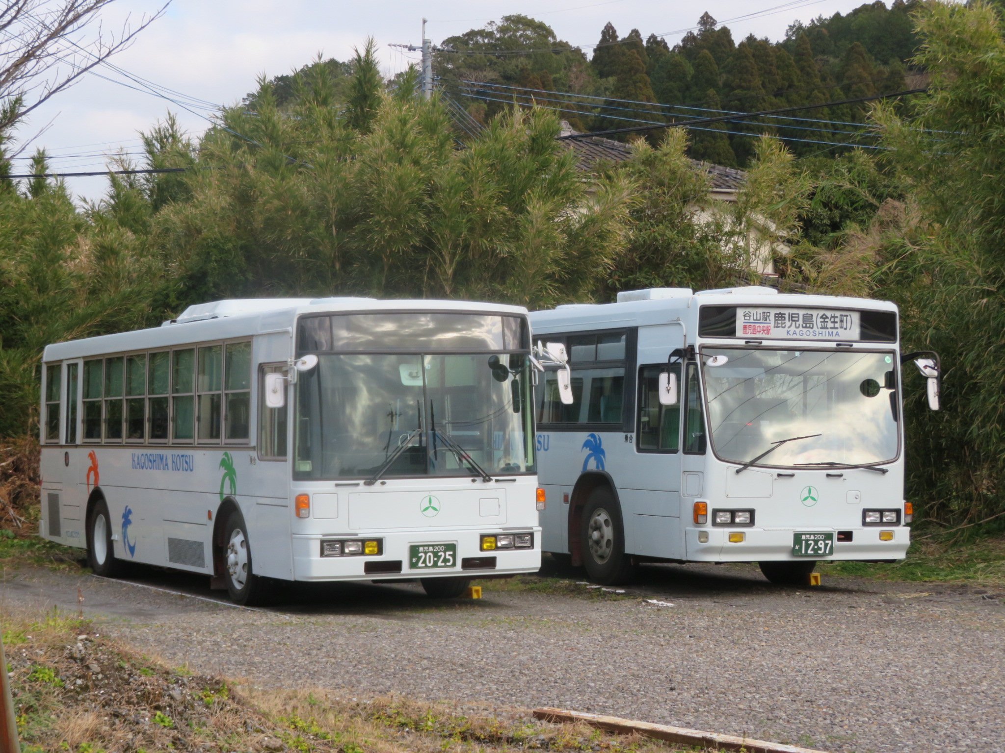 鹿児島交通 鹿児島市内線路線図