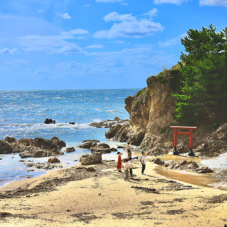 ゆーこ。さんの投稿 虫谷の入江ことりっぷ
