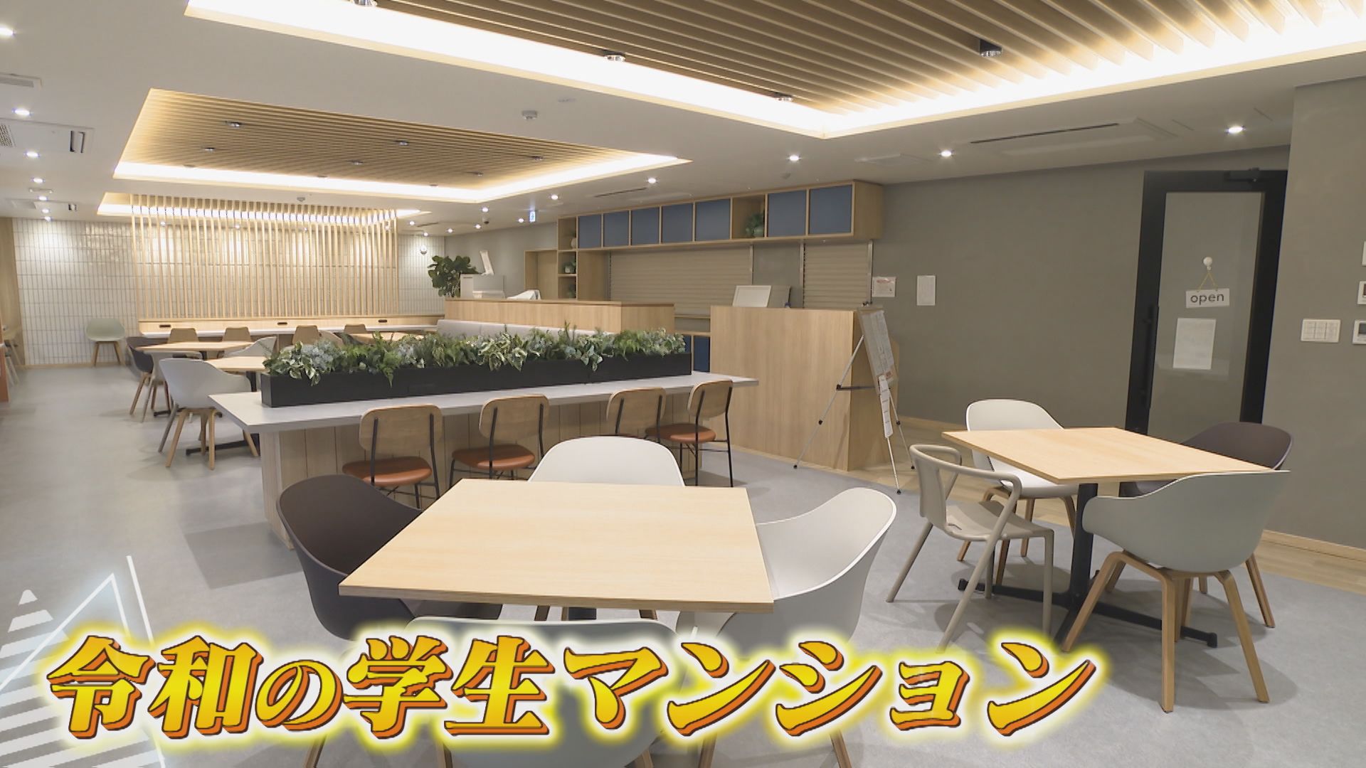 泊まれるからくりハウス🏠部屋の中にツリーハウス、滑り台、隠し通路、秘密の屋根裏部屋、お菓子の宝探し‥一泊じゃ物足りないくらい遊びまくれる😍 東京 中野 子連れスポット宿