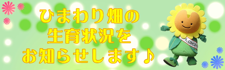 地域子育て支援センター「つぼみ」 | 那珂市公式ホームページ