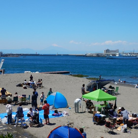 たくさんの猫ちゃんに会える城ヶ島でデイキャンプ！ 2023最新ちりつもキャンプ