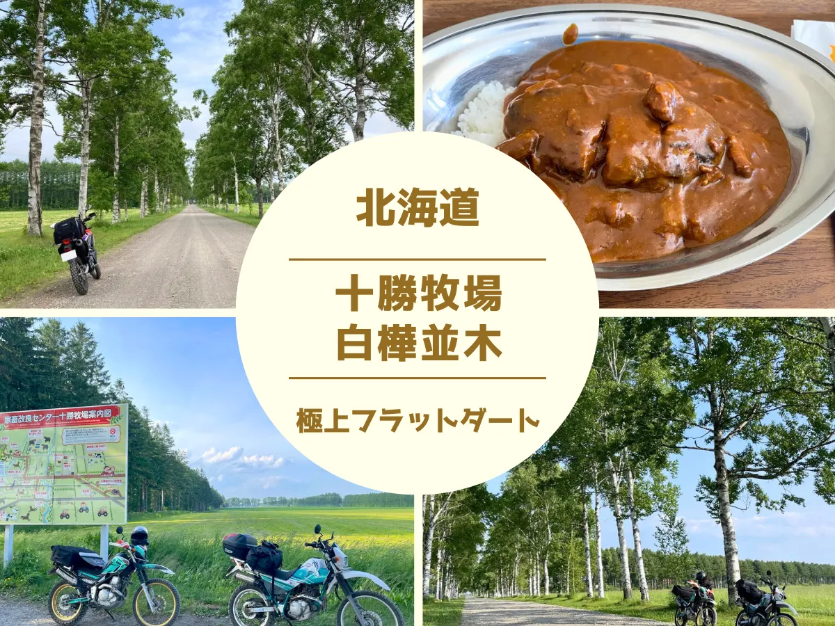 📍十勝牧場 白樺並木道北海道 音更町⠀ ⠀ 数々の映画やドラマのロケ地として使われた有名な観光スポット。約1.3kmにわたり、美しい白樺並木が続いています🌲⠀⠀