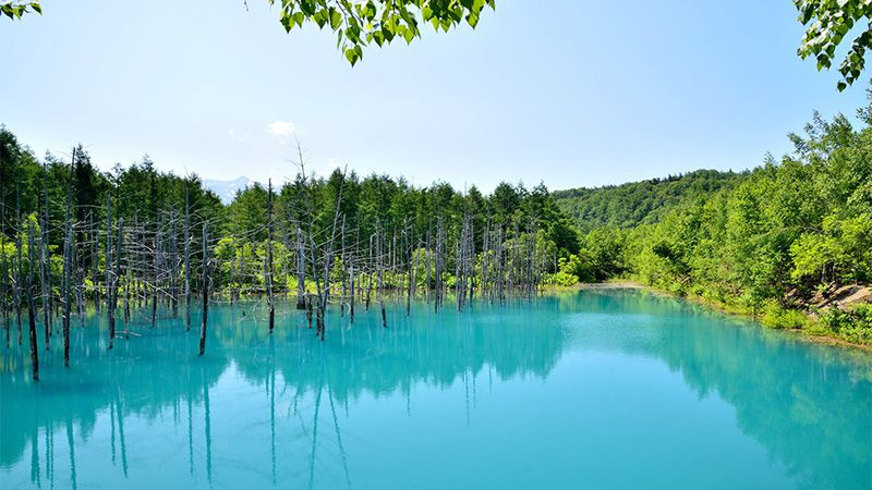 青池 アクセス・営業時間・料金情報 - じゃらんnet