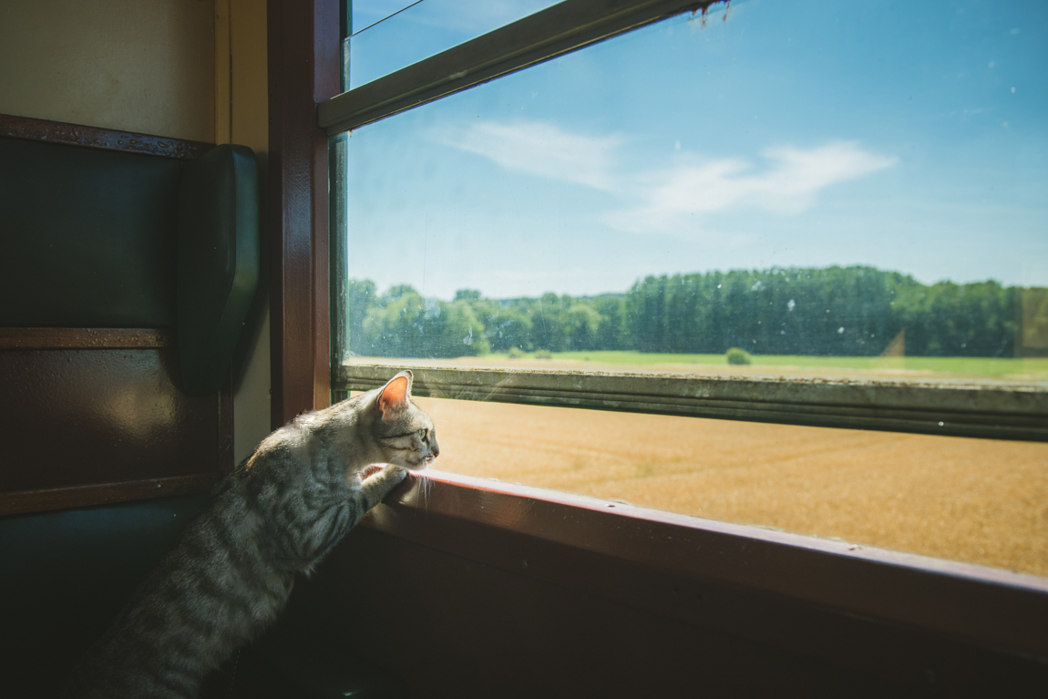 世界の車窓から2019