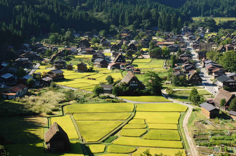 教員コラム白川郷の合掌造りの見事さ 和田有朗滋賀県立大学環境科学部 環境政策・計画学科
