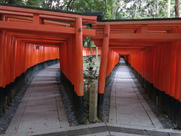 夏の観光予定ランキング 3位「伏見稲荷大社」、2位「清水寺」、1位は？：都道府県のトップは 1