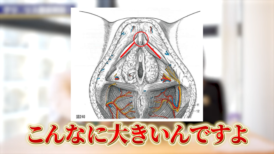 超簡単！今夜から実践出来る♥Gスポットの見つけ方