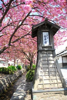 大江戸温泉物語 伊香保の宿泊予約 - 人気プランTOP3【ゆこゆこ】