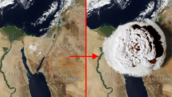 トンガ：火山噴火・津波被害から１カ月半、現地ではトピックス国際活動について日本赤十字社
