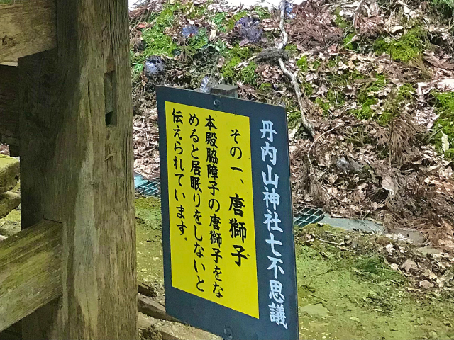 脇舐めが好きな男性の心理を徹底調査！好きな脇の種類や断り方まで紹介｜風じゃマガジン