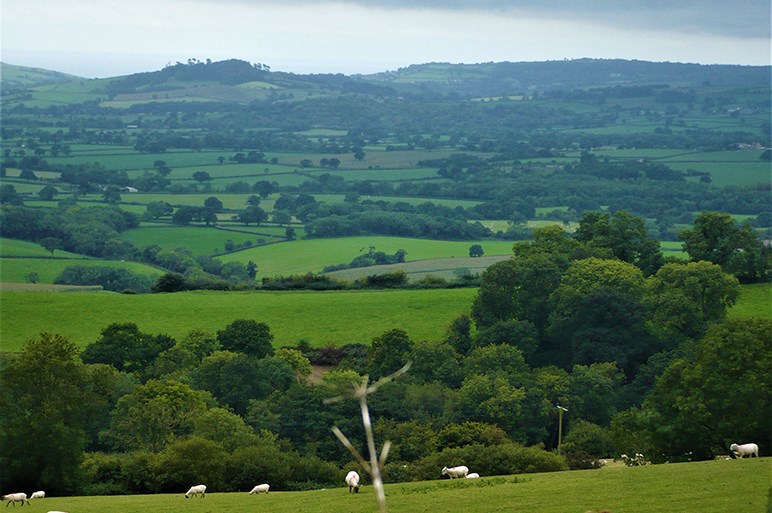 絵本のフェアリーテイルの世界のよう。ヨーロッパの田舎を巡る旅 7選キナリノ