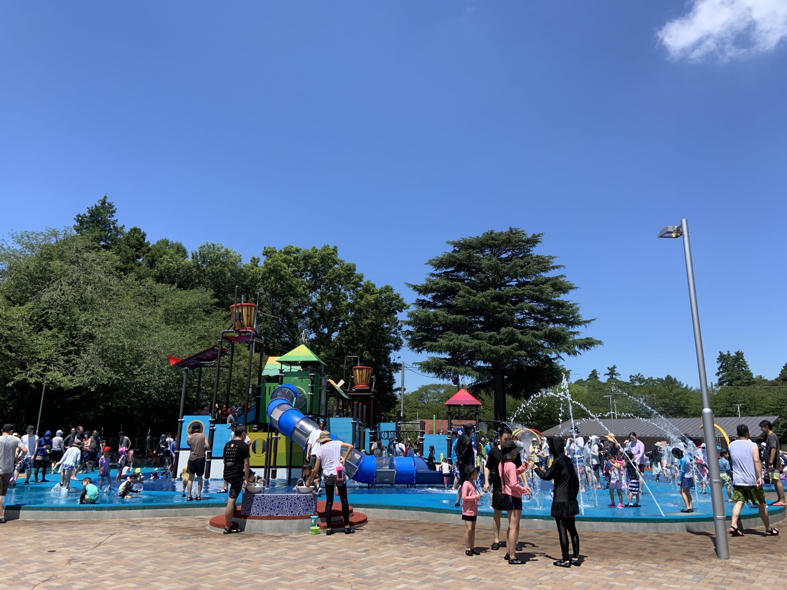 清水公園の魅力を徹底解説！～アスレチックやアクアベンチャーもご紹介～特集千葉県公式観光サイト ちば観光ナビ