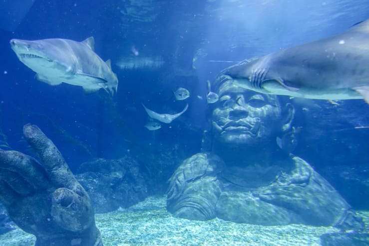 限定デザインのパークチケットデザインお披露目！東京ディズニーリゾート 35周年“Happiest Celebration!”