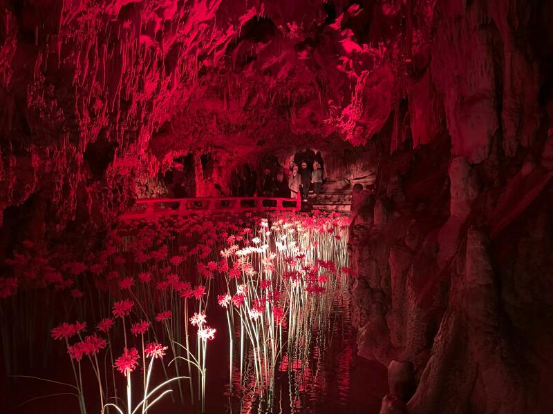 満奇洞 アクセス・営業時間・料金情報 - じゃらんnet