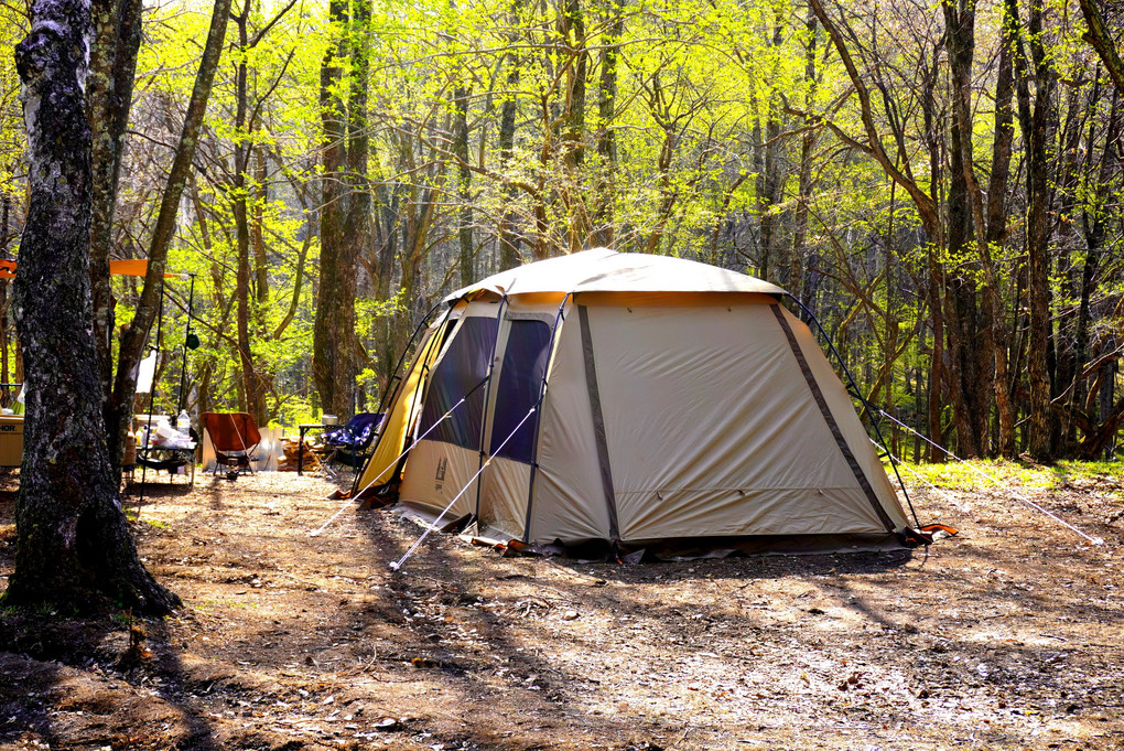 姫木平ホワイトバーチキャンプフィールド@whitebirch_camp_field• Instagram photos and