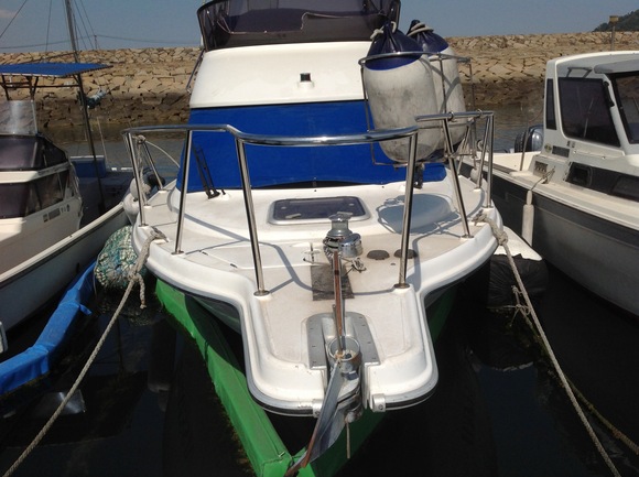 船外機ランナバウトボート - JOLLY