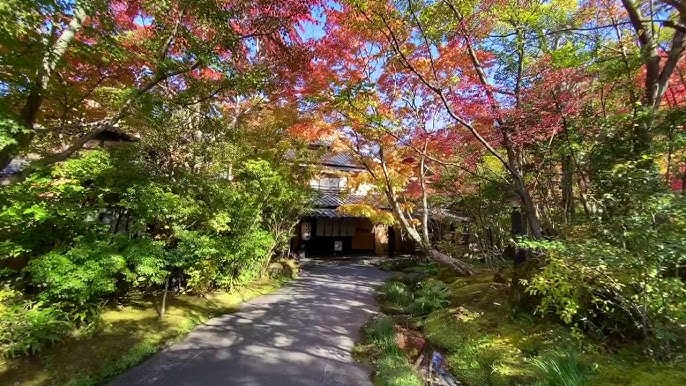 宿泊・体感・展示場一棟貸切の宿 あその紅葉和風庭園 ひかりの森・INN一部屋貸切 水前寺のもみじ