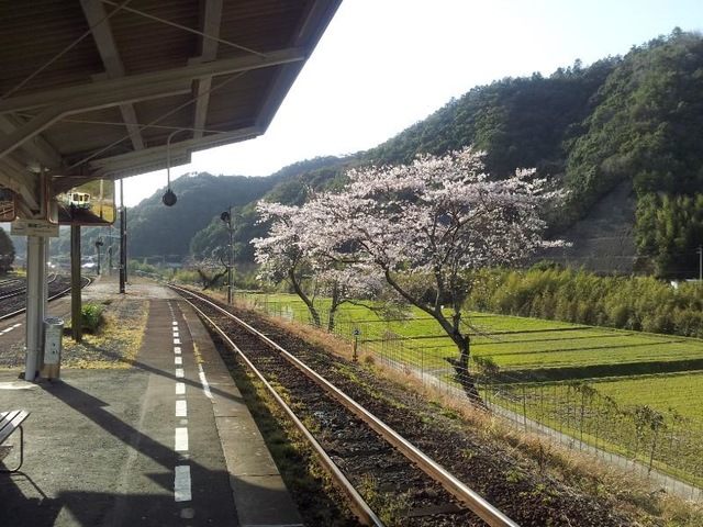 BBQ侍いざ出陣！ 予土線で行くBBQの旅第2弾高知 四万十市 PRイマナニ