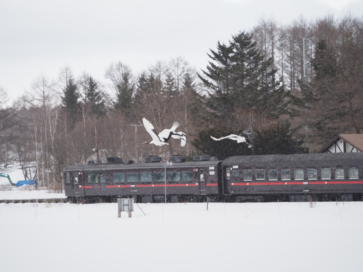 ＪＲ釧網本線茅沼駅 ホームメイト