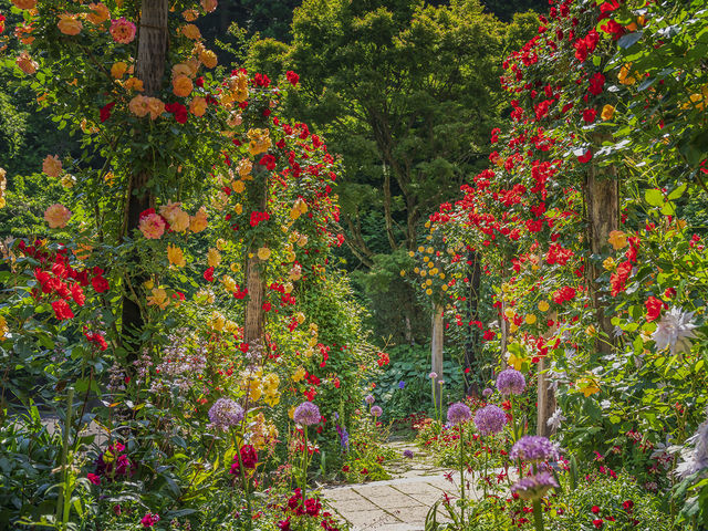 熱海の空中ぶらんこ体験！絶景スポットACAO FOREST2025 年のリアルなLemon8ユーザー体験
