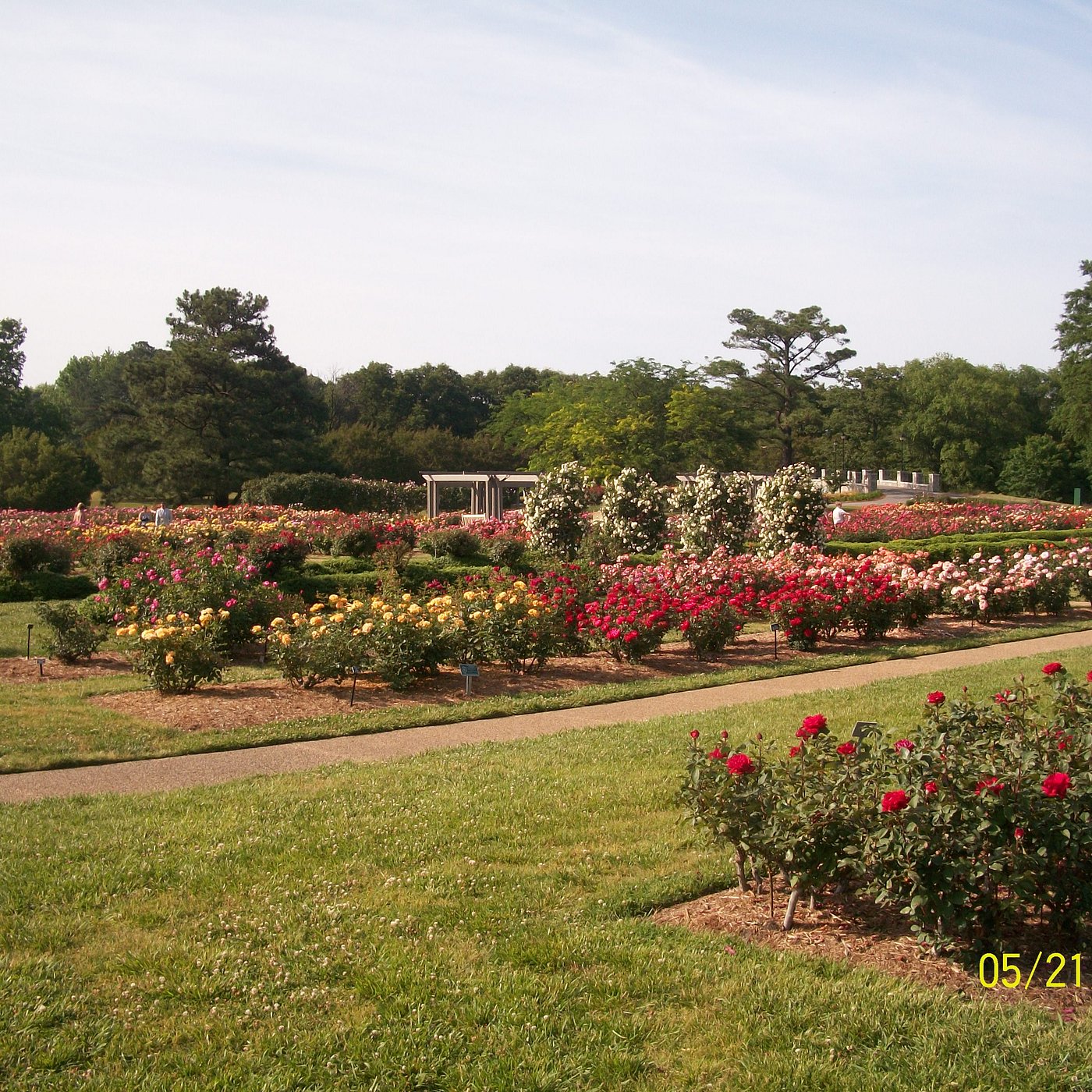 NYとセットで訪れたい！アメリカ東海岸「バージニア州」3つの港町を巡る旅へ 前編LEE