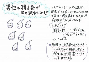 精子は空気に触れたらどうなる？妊娠する可能性について | 妊活ならベビーライフ研究所