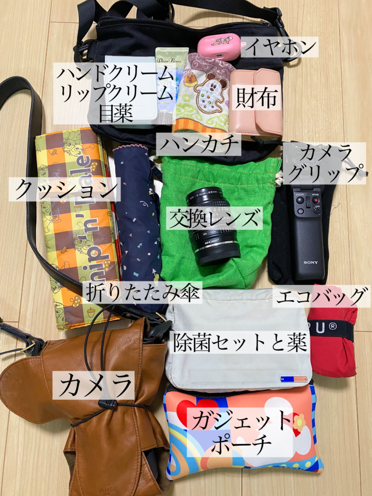 春ディズニーの持ち物を少なく楽しむ！最低限必要な物6選 2021年最新版ディズニー裏マニア