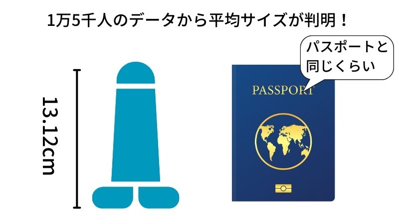 ゴムのサイズわからない人！コンドームのサイズ・大きさ・直径・測り方を紹介 | コンドーム大百科