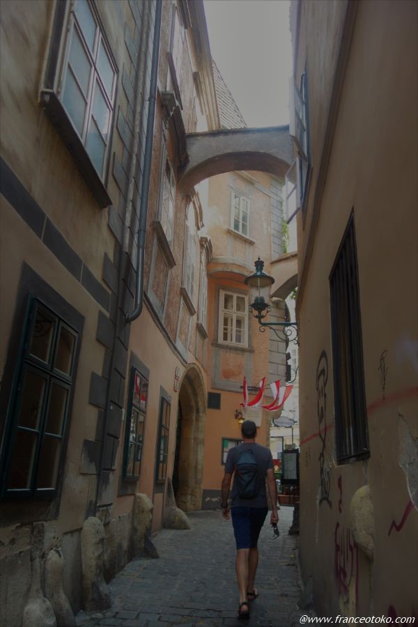 大型タクシーウィーン7名様までの送迎を今すぐ予約