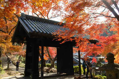 秋月城跡」へのアクセスを解説！駐車場は公営駐車場が便利！博多駅・熊本駅・大分駅から！ 朝倉市旅々PHOTO