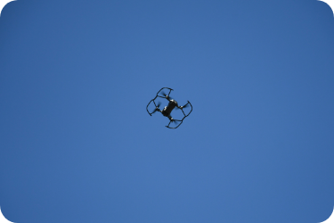 続・イノシシの夜間行動を観察する方法とは？ ～赤外線カメラを搭載したドローンで多摩川の河川敷を探ってみた編～鳥獣害対策の知恵袋